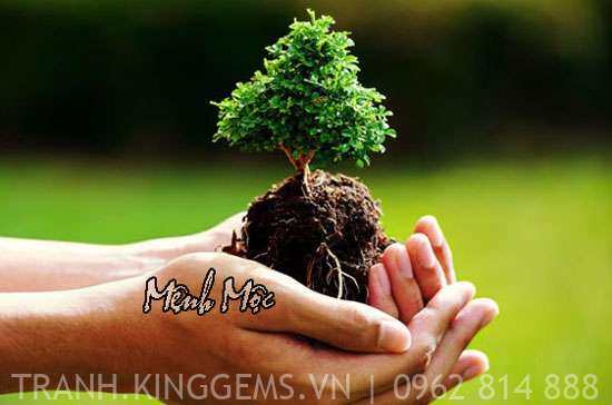 Mệnh mộc hợp với các màu gì