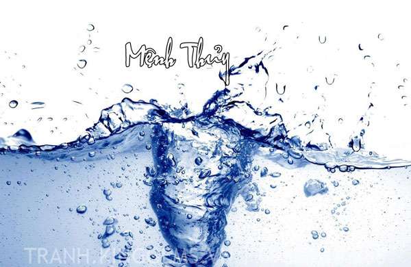 Mệnh thủy nên treo những tấm tranh nào thích ứng với tử vi phong thủy 1 Mệnh thủy hợp với tranh gì