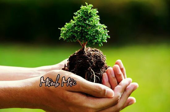 Chon tranh va cach bai tri treo tranh phong khach 20220307